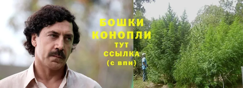 блэк спрут ссылка  Электросталь  Канабис Ganja 